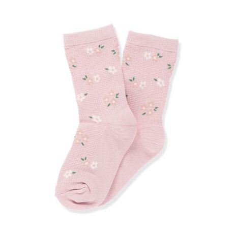 [^ԁF14-5363-807]ԂU΂߂ꂽ\bNX􁡏i|CgEK[[ȏԕACeEbtnȂ̂ŁÂ݂\ʊɂȂĂ܂Ev[g̃vXɂ߂̃ACeł-----LkF蓧FȂfpʐ^ɂĂ̓C[ẄׁAۂ́@iƃJ[dlقȂꍇ܂̂ŁA@i摜Bi̐Fɂ܂āAql̂gPĆ@j^[ɂۂ̃J[Ɖ摜̐F@Čꍇ܂B@\߂̏ABXEOł̎Be摜͌̉ŁA@ۂ̏i薾邭ꍇ܂Bqǂ/q/ǂ/q/LbY/WjA/j̎q/̎q