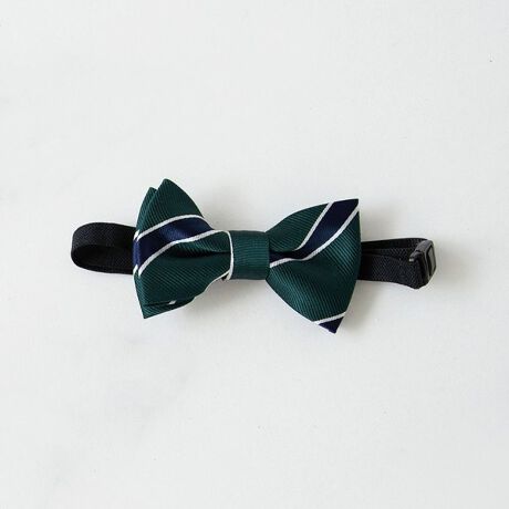 [^ԁF14-6169-779]tH[}V[؂₩ɁILbYlN^C􁡏i|CgEX}[gA炵邨߃ACełE߂⑕ȒPɂłdlłEAAwA܂ŕLV[ɑΉ\łfpʐ^ɂĂ̓C[ẄׁAۂ́@iƃJ[ dlقȂꍇ܂̂ŁA@i摜Bi̐Fɂ܂āAql̂gPĆ@j^[ɂۂ̃J[Ɖ摜̐F@Čꍇ܂B@\߂̏ABXEOł̎Be摜͌̉ŁA@ۂ̏i薾邭ꍇ܂B