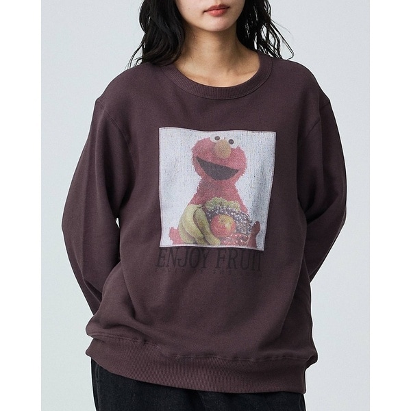 【FRUIT OF THE LOOM/フルーツ オブ ザ ルーム】SESAMIS