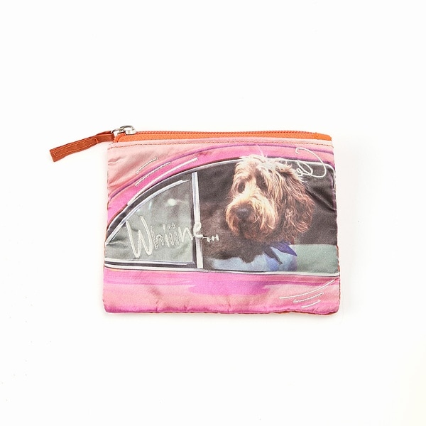 [}C]yCasselini / LZ[jzhD[hDtHg|[`y\z/[WEBt NiRouge vif la clej IW