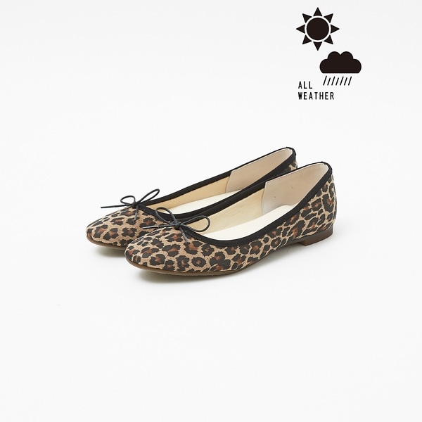 [}C]yJpzEhgDoGV[Y/ID ojX^[iAu BANNISTERj ̑