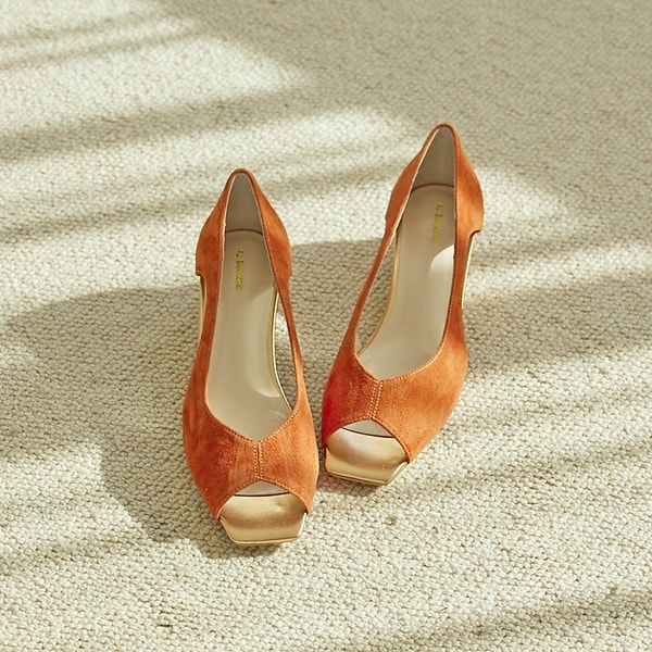 [}C]o^tCJbg XNGA I[vgD pvX/ID ojX^[iAu BANNISTERj Ao[