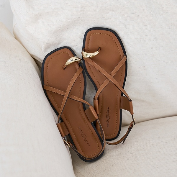 [}C]y̔X܌zjAXO XgbvT_/ID ojX^[iAu BANNISTERj uE