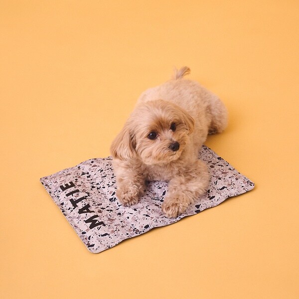 [}C]MATIE/ ۗWF}bgL/ybgbNΉyProduce by L/EF VOXiLOWELL Thingsj x[Wn̑1