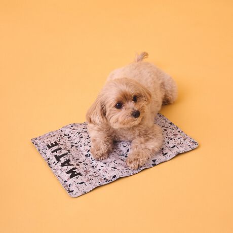 [^ԁF51506075310]yMATIE:CeBz lɂƂĂɂƂĂgSnǂhe[}ɊJBMATIẼACe鎖ňꏏɉ߂Ԃ[悤AlXȋ@\ɂ܂ByDesignzybg̑̉`ۗWF}bgL(ybgbNΉ)Bo[Vudlłg܂Big(͂Aʔ̃ybgbN~j(NO:51496040301)LTCY(NO:51496040302)ɂ҂ȃTCYłB悢NbVA܂OKŎ^тȒPB①ɂ͗ⓀɂłD݂̉xɗ₵ĂƁAKɂgp܂B(①ɖڈ15`20ڈ)ybgbN̒Kxɗ₵ĔMǑ΍Ɂ{i͕ۗWF}bĝ݂̔̔łBybgL[bN͕tĂ܂BꂪCɂȂꍇ́AiG^IłӂĂBygpɂȂOɁzJɃWFĂꍇ́AȏꏊŎłȂ炵ĂgpB̂܂܂łgp܂A߂ĂgpꍇAʉߒ̉xω̉eɂA\ɋ@\𔭊Ȃꍇ܂B①ɂ͗ⓀɂłD݂̉xɗ₵ĂƁAKɂgp܂B(①ɖڈ15`20ڈ)ygpɍۂāzڐGɂ铀ɂӂB(ɗⓀĎgpꍇ)₽Ɗꍇ́AɃ^IȂǂ~ĂgpBӎv\\łȂAybgc삪Kvȍ҂̕ւ̂gṕAtŶƏ\ɒӂĂBɒ[Ɏ̍ꏊł͏\ɋ@\Ȃꍇ܂BGARŎKȉxɂĂ炲gpBygp̒Ӂz΂ɐHׂȂłB{i͈×pł͂܂BjARꂪꍇ́AgpȂłBeߗށAQɐUꂽꍇ͂ɐŐ􂢗ĂBAڂɓꍇ́A炸ɂɐŐĈtɑkĂBۗpłB{̗prȊOɂ͎gpȂłB(ߔMs)͕ۗ͂⎼xAgpɂĈقȂ܂B΂̂΂⍂ȏꏊAԂ̒A˓ꏊɕۊǁEuȂłB①ɁEⓀɂɓۂ́A{i̕ɓLYǰɂȂꍇ܂̂ŁArj[ܓɓ͂ɉsȂ̂ˋNȂƂmF̏ۊǁEgpB܂AEƂE̐̂œ˂E؂E?ށE˂E͂œށEd̂悹铙̏Ռ^ȂłBsBꂪCɂȂꍇ́AiG^IłӂĂBpꍇ́Aê̎wɏ]ĂBObY/UobO//ybgpi/ybgObY/pi/N[}bg/ۗ}bg/⊴}bg/⊴xbh/N[NbV/Ђ}bg