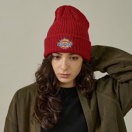 [^ԁF04519874105]t@C[p^[DickiesSgpjbgb`BłӂӂƂAgȃ{fB͒ߕtȂAԂ₷BF̃{fB́ACpNĝASƂ̃oXByDickies / fBbL[Yz1922NnƂ̃AJ\郏[NEFAuhBϋvE@\˔ACéA[J[݂̂Ȃ炸AXP[^[Xg[gJ`[xW߁A܂␢Eň鑶݂ɁB[NDNApAt@bVV[łffUĆB