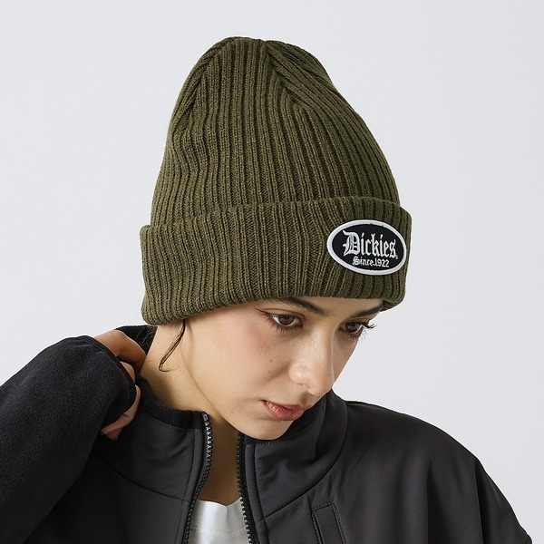 [�}���C]�yDickies / �f�B�b�L�[�Y�zBLOCK FONT WAPPEN WATC/�A�o�n�E�X�iABAHOUSE�j �J�[�L