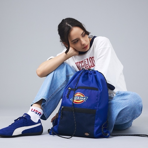 [�}���C]�yDICKIES/�f�B�b�L�[�Y�zICON LOGO KNAPSACK / �A�C�R/�A�o�n�E�X�iABAHOUSE�j �u���[