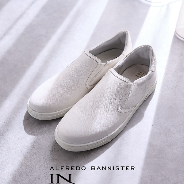 [}C]yWEBʒzɂ̃x[VbN I[U[Xb|Xj[J[/AtbhEojX^[ialfredoBANNISTERj zCg