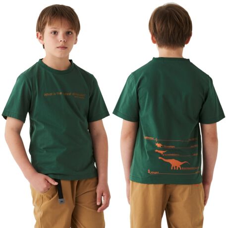 [^:2249303K]NtC[LbY̊yktbj|sddijRbg100%̓VRfނɂvgTVcłBAȂ}fނŃKKɑς܂Bԑ鋰́He[}ɂvgOtBbNBobNvgŐFXȋƐlԂ̑rfUCɂȂĂ܂BӊOƐlԂ͂₭ărbNIH