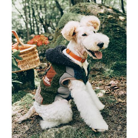 [^:2414409D]sKRIFF MAYER H~ACeuVM[{At[hxXgvtND]ŁATCYJ[oVM[{AhbOEFABN̓t[h^CvœołIII肪LcCƂAʃt@Xi[Ƀj[A!!蒅E₷ȂĂ܂BlTCYƂɂȂ悤ɃJ[`FWBĂāIv]ɂXLTCYǉIN̓t[hłył݂Ă􃁃YTCYFX^h(iԁF2414403)t[h(iԁF2414404)fB[XFt[h(iԁF2414411L)X^h(iԁF2414413L)~fBA(iԁF2414430LA)WJĂAy݂܂Bn[lX͂܂B傫߂͕̃̃TCY悭m߂B-------------------------ňFFȂLkF₠藠nFȂPA@F@􂢉ilbggpj-------------------------wKRIFF MAYERx(NtC[)General Wear for FAMILY CAMP!!ƑŒAJJWAe[}ɒaNtC[BƑƕ炷ɂ́AVeBƃlC`[̃{[_[ȂKvƊĂ܂B̈̃L[ƂȂ̂Aut@~[LvvƃNtC[͎v̂łB񂪁uT̓Lvɍsvƌ΁AuނĂ݂IƐVтIvu킽͕΂Ń}V}ĂIvƎqɂĂAȌiɈ悤ɂĂBNtC[ɒւA͑҂ɑ҂T̍}BƑƂ̓ʂȎԂ𓖂OɁBNtC[́uGeneral Wear for FAMILY CAMP!!vɂ͂ȑz߂Ă܂B