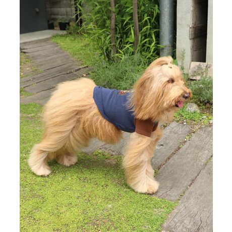 [^:2417821D]sKRIFF MAYER H~ACeûT(oCN)vtNlĈ̂уV[YIO̒ʂA`ƃtbƂƓ̒e͂̃ACeB̂̂уV[Y烏EFAołIwɃNtC[̃uhLN^[łNtrbgoCNɂ̂hイfUCBlԃTCY(iԁF2417819)WJĂAy݂܂BlԃTCY(iԁF2423100)WJĂAy݂܂Bn[lX͂܂BƂĂLk܂ATCY悭m߂B-------------------------ňFF₠(i`)LkF藠nFȂPA@F@􂢉ilbggpjwKRIFF MAYERx(NtC[)General Wear for FAMILY CAMP!!ƑŒAJJWAe[}ɒaNtC[BƑƕ炷ɂ́AVeBƃlC`[̃{[_[ȂKvƊĂ܂B̈̃L[ƂȂ̂Aut@~[LvvƃNtC[͎v̂łB񂪁uT̓Lvɍsvƌ΁AuނĂ݂IƐVтIvu킽͕΂Ń}V}ĂIvƎqɂĂAȌiɈ悤ɂĂBNtC[ɒւA͑҂ɑ҂T̍}BƑƂ̓ʂȎԂ𓖂OɁBNtC[́uGeneral Wear for FAMILY CAMP!!vɂ͂ȑz߂Ă܂B