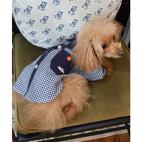 [^:D2433502]sKRIFF MAYER tACeunbs[VcvtNlC̃nbs[VchbOEFAœoĨuJtȃXibv{^܂ŒɍČĂ܂IXibv{^wʂɔzûŊJ߂₷AÊyXłBƂ͈JbRCCȃX^Cy݂IRZvg̃YACeiiԁF2433500jfB[XACeiiԁFW2433501jLbYACeiiԁFJ2437102jWJĂ܂̂ŁAyAEt@~[łNR[fȂǂy߂܂Bn[lX͂܂BLTCYXLTCYɑ傫ȍ܂Bl悭m߂B-------------------------ňF┖蓧F₠(It͂)LkFȂnFȂPA@F@􂢉-------------------------KRIFF MAYER(NtC[){̎RC[W`FƁAVvŗVѐSfUCŁA^ꂵɂϋv̂鍂iȕAYEfB[XELbYAɃhbOEFA܂ŕLWJBƑ݂Ȃ̖ɉƊy͂܂B