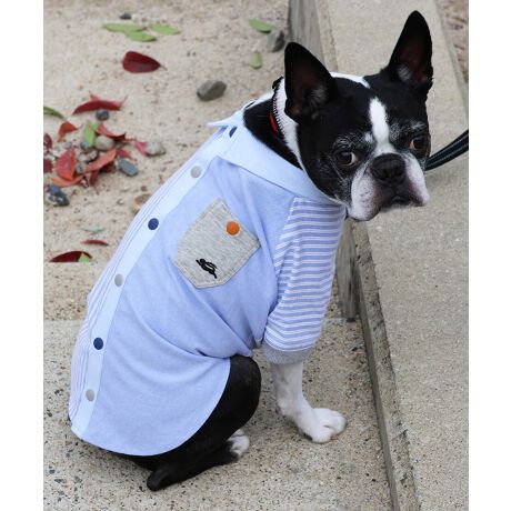 [^:D2433502]sKRIFF MAYER tACeunbs[VcvtNlC̃nbs[VchbOEFAœoĨuJtȃXibv{^܂ŒɍČĂ܂IXibv{^wʂɔzûŊJ߂₷AÊyXłBƂ͈JbRCCȃX^Cy݂IRZvg̃YACeiiԁF2433500jfB[XACeiiԁFW2433501jLbYACeiiԁFJ2437102jWJĂ܂̂ŁAyAEt@~[łNR[fȂǂy߂܂Bn[lX͂܂BLTCYXLTCYɑ傫ȍ܂Bl悭m߂B-------------------------ňF┖蓧F₠(It͂)LkFȂnFȂPA@F@􂢉-------------------------KRIFF MAYER(NtC[){̎RC[W`FƁAVvŗVѐSfUCŁA^ꂵɂϋv̂鍂iȕAYEfB[XELbYAɃhbOEFA܂ŕLWJBƑ݂Ȃ̖ɉƊy͂܂B