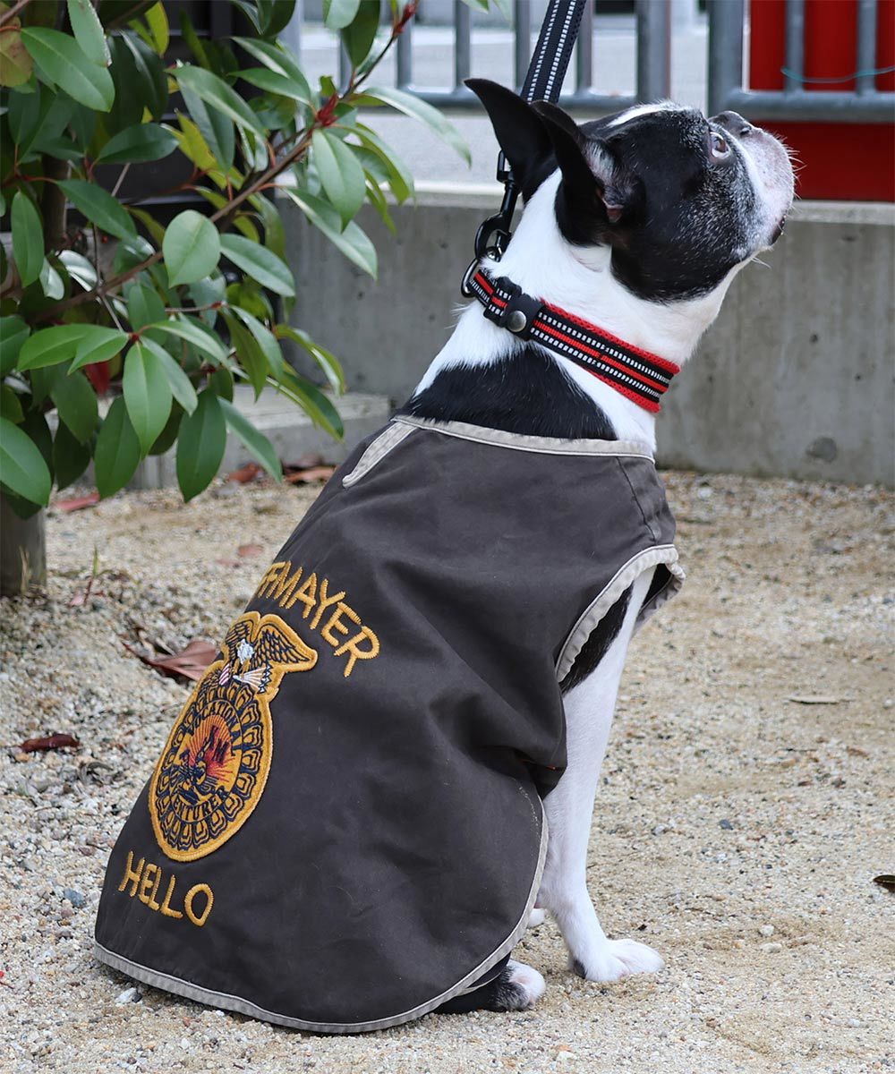 [}C]yS5F×4TCYWJIzFFAxXg hbOEFA/NtC[iKRIFF MAYERj CHARCOAL