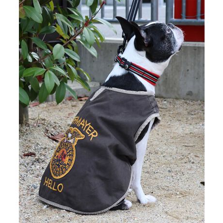 [^:D2434019]sKRIFF MAYER tACeuFFAxXgvt݃VXeꂽX[xjAEFABOʂƁA͂ƂŖʃt@Xi[łƂ߂邾I\VȂ񂿂łȒPɒpł܂IAJ̔_ƊwZ̃jtH[ƂėLȁuFFAWPbgv̎hJfUCx[XɂIWiACRwʂONB[YhH{傳畉̖{ihȃhbOEFAłBƂ͈JbRCCȃX^Cy݂IRZvg̃YACeiiԁF2434003jfB[XACeiiԁFW2434009jWJĂ܂̂ŁAyAEt@~[łNR[fȂǂy߂܂Bn[lXBLTCYXLTCYɑ傫ȍ܂Bl悭m߂B-------------------------ňFFȂLkFȂnFȂPA@F@􂢉-------------------------KRIFF MAYER(NtC[){̎RC[W`FƁAVvŗVѐSfUCŁA^ꂵɂϋv̂鍂iȕAYEfB[XELbYAɃhbOEFA܂ŕLWJBƑ݂Ȃ̖ɉƊy͂܂B