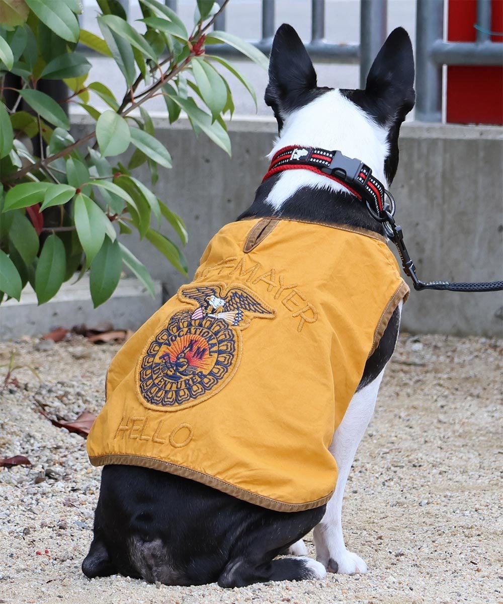 [}C]yS5F×4TCYWJIzFFAxXg hbOEFA/NtC[iKRIFF MAYERj YELLOW