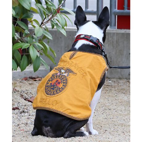 [^:D2434019]sKRIFF MAYER tACeuFFAxXgvt݃VXeꂽX[xjAEFABOʂƁA͂ƂŖʃt@Xi[łƂ߂邾I\VȂ񂿂łȒPɒpł܂IAJ̔_ƊwZ̃jtH[ƂėLȁuFFAWPbgv̎hJfUCx[XɂIWiACRwʂONB[YhH{傳畉̖{ihȃhbOEFAłBƂ͈JbRCCȃX^Cy݂IRZvg̃YACeiiԁF2434003jfB[XACeiiԁFW2434009jWJĂ܂̂ŁAyAEt@~[łNR[fȂǂy߂܂Bn[lXBLTCYXLTCYɑ傫ȍ܂Bl悭m߂B-------------------------ňFFȂLkFȂnFȂPA@F@􂢉-------------------------KRIFF MAYER(NtC[){̎RC[W`FƁAVvŗVѐSfUCŁA^ꂵɂϋv̂鍂iȕAYEfB[XELbYAɃhbOEFA܂ŕLWJBƑ݂Ȃ̖ɉƊy͂܂B