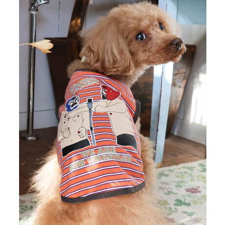 [^:D2437851]sKRIFF MAYER tACeuuX[{[_[TvtRbg100%̃IWi20/-Vfނ{fBɎgpTVcłBIWiLN^[yuX[zvg}`{[_[ACeBQ[▟̂LAʏ̃uLBX|bg邱Ƃ͂ȂAXg[[ɂ͌Ȃ̈邵UۂɁAlςd˂X[B̐VOtBbNV[YłBuX[1&2vgꂽVѐSvgo[WƃvX̃`bvȂ̂H˂̃cbR~Ȃ̂HCpNgQȃuX[̃vgo[W2WJBRZvg̃I[i[ACeiiԁF2437817jWJĂ܂̂ŁAyAEt@~[łNR[fȂǂy߂܂Bn[lX͂܂BLTCYXLTCYɑ傫ȍ܂Bl悭m߂B-------------------------ňFFȂLkF₠藠nFȂPA@F@􂢉-------------------------KRIFF MAYER(NtC[){̎RC[W`FƁAVvŗVѐSfUCŁA^ꂵɂϋv̂鍂iȕAYEfB[XELbYAɃhbOEFA܂ŕLWJBƑ݂Ȃ̖ɉƊy͂܂B