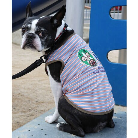 [^:D2437851]sKRIFF MAYER tACeuuX[{[_[TvtRbg100%̃IWi20/-Vfނ{fBɎgpTVcłBIWiLN^[yuX[zvg}`{[_[ACeBQ[▟̂LAʏ̃uLBX|bg邱Ƃ͂ȂAXg[[ɂ͌Ȃ̈邵UۂɁAlςd˂X[B̐VOtBbNV[YłBuX[1&2vgꂽVѐSvgo[WƃvX̃`bvȂ̂H˂̃cbR~Ȃ̂HCpNgQȃuX[̃vgo[W2WJBRZvg̃I[i[ACeiiԁF2437817jWJĂ܂̂ŁAyAEt@~[łNR[fȂǂy߂܂Bn[lX͂܂BLTCYXLTCYɑ傫ȍ܂Bl悭m߂B-------------------------ňFFȂLkF₠藠nFȂPA@F@􂢉-------------------------KRIFF MAYER(NtC[){̎RC[W`FƁAVvŗVѐSfUCŁA^ꂵɂϋv̂鍂iȕAYEfB[XELbYAɃhbOEFA܂ŕLWJBƑ݂Ȃ̖ɉƊy͂܂B