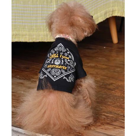 [^:D2437852]sKRIFF MAYER tACeu`^CT (o_i)vtRbg100%̃IWi20/-Vfނ{fBɎgpTVcłBҖ]CHILLTIMEV[ỸhbOEFAoBX[xjÂo_iOtBbNI蒆ɂMr.K̃byʒuɎtꂽVѐSACełBV[tĂ܂IRZvg̃I[i[ACeiiԁF2437808jWJĂ܂̂ŁAyAEt@~[łNR[fȂǂy߂܂Bn[lX͂܂BLTCYXLTCYɑ傫ȍ܂Bl悭m߂B-------------------------ňFFȂLkF₠藠nFȂPA@F@􂢉-------------------------KRIFF MAYER(NtC[){̎RC[W`FƁAVvŗVѐSfUCŁA^ꂵɂϋv̂鍂iȕAYEfB[XELbYAɃhbOEFA܂ŕLWJBƑ݂Ȃ̖ɉƊy͂܂B