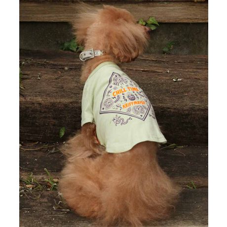 [^:D2437852]sKRIFF MAYER tACeu`^CT (o_i)vtRbg100%̃IWi20/-Vfނ{fBɎgpTVcłBҖ]CHILLTIMEV[ỸhbOEFAoBX[xjÂo_iOtBbNI蒆ɂMr.K̃byʒuɎtꂽVѐSACełBV[tĂ܂IRZvg̃I[i[ACeiiԁF2437808jWJĂ܂̂ŁAyAEt@~[łNR[fȂǂy߂܂Bn[lX͂܂BLTCYXLTCYɑ傫ȍ܂Bl悭m߂B-------------------------ňFFȂLkF₠藠nFȂPA@F@􂢉-------------------------KRIFF MAYER(NtC[){̎RC[W`FƁAVvŗVѐSfUCŁA^ꂵɂϋv̂鍂iȕAYEfB[XELbYAɃhbOEFA܂ŕLWJBƑ݂Ȃ̖ɉƊy͂܂B