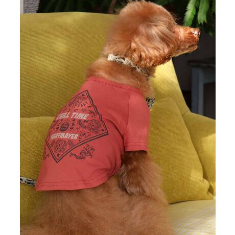 [^:D2437852]sKRIFF MAYER tACeu`^CT (o_i)vtRbg100%̃IWi20/-Vfނ{fBɎgpTVcłBҖ]CHILLTIMEV[ỸhbOEFAoBX[xjÂo_iOtBbNI蒆ɂMr.K̃byʒuɎtꂽVѐSACełBV[tĂ܂IRZvg̃I[i[ACeiiԁF2437808jWJĂ܂̂ŁAyAEt@~[łNR[fȂǂy߂܂Bn[lX͂܂BLTCYXLTCYɑ傫ȍ܂Bl悭m߂B-------------------------ňFFȂLkF₠藠nFȂPA@F@􂢉-------------------------KRIFF MAYER(NtC[){̎RC[W`FƁAVvŗVѐSfUCŁA^ꂵɂϋv̂鍂iȕAYEfB[XELbYAɃhbOEFA܂ŕLWJBƑ݂Ȃ̖ɉƊy͂܂B