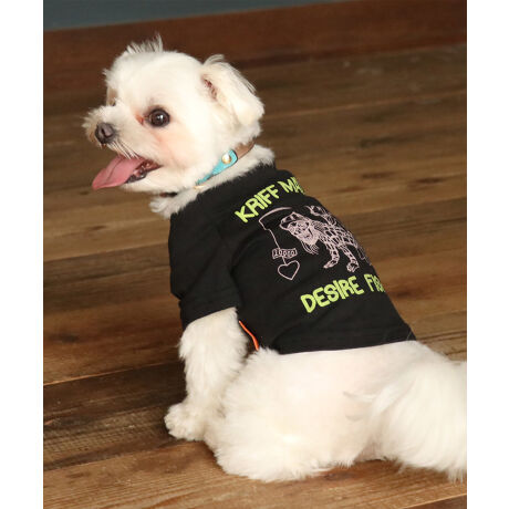 [^:D2437853]sKRIFF MAYER tACeu`^CT (ނ)vtRbg100%̃IWi20/-Vfނ{fBɎgpTVcłBҖ]CHILLTIMEV[ỸhbOEFAoBƈɒނR~JȃOtBbNB蒆ɂMr.K̃byʒuɎtꂽVѐSACeBV[tĂ܂IRZvg̃I[i[ACeiiԁF2437809jWJĂ܂̂ŁAyAEt@~[łNR[fȂǂy߂܂Bn[lX͂܂BLTCYXLTCYɑ傫ȍ܂Bl悭m߂B-------------------------ňFFȂLkF₠藠nFȂPA@F@􂢉-------------------------KRIFF MAYER(NtC[){̎RC[W`FƁAVvŗVѐSfUCŁA^ꂵɂϋv̂鍂iȕAYEfB[XELbYAɃhbOEFA܂ŕLWJBƑ݂Ȃ̖ɉƊy͂܂B