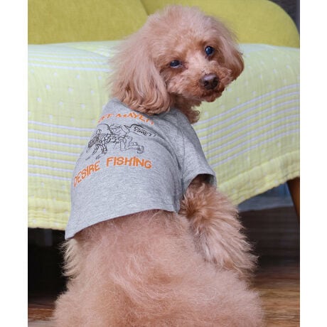 [^:D2437853]sKRIFF MAYER tACeu`^CT (ނ)vtRbg100%̃IWi20/-Vfނ{fBɎgpTVcłBҖ]CHILLTIMEV[ỸhbOEFAoBƈɒނR~JȃOtBbNB蒆ɂMr.K̃byʒuɎtꂽVѐSACeBV[tĂ܂IRZvg̃I[i[ACeiiԁF2437809jWJĂ܂̂ŁAyAEt@~[łNR[fȂǂy߂܂Bn[lX͂܂BLTCYXLTCYɑ傫ȍ܂Bl悭m߂B-------------------------ňFFȂLkF₠藠nFȂPA@F@􂢉-------------------------KRIFF MAYER(NtC[){̎RC[W`FƁAVvŗVѐSfUCŁA^ꂵɂϋv̂鍂iȕAYEfB[XELbYAɃhbOEFA܂ŕLWJBƑ݂Ȃ̖ɉƊy͂܂B