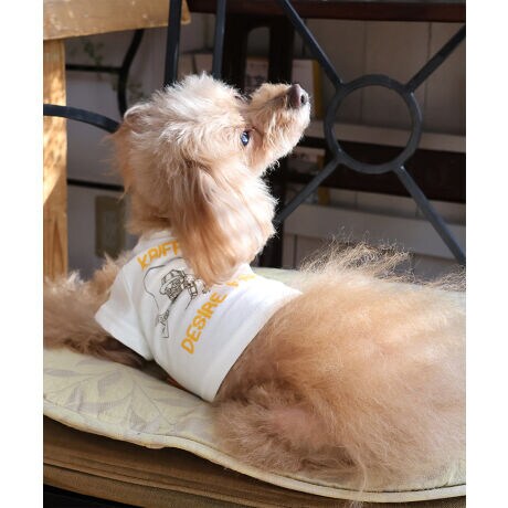 [^:D2437853]sKRIFF MAYER tACeu`^CT (ނ)vtRbg100%̃IWi20/-Vfނ{fBɎgpTVcłBҖ]CHILLTIMEV[ỸhbOEFAoBƈɒނR~JȃOtBbNB蒆ɂMr.K̃byʒuɎtꂽVѐSACeBV[tĂ܂IRZvg̃I[i[ACeiiԁF2437809jWJĂ܂̂ŁAyAEt@~[łNR[fȂǂy߂܂Bn[lX͂܂BLTCYXLTCYɑ傫ȍ܂Bl悭m߂B-------------------------ňFFȂLkF₠藠nFȂPA@F@􂢉-------------------------KRIFF MAYER(NtC[){̎RC[W`FƁAVvŗVѐSfUCŁA^ꂵɂϋv̂鍂iȕAYEfB[XELbYAɃhbOEFA܂ŕLWJBƑ݂Ȃ̖ɉƊy͂܂B