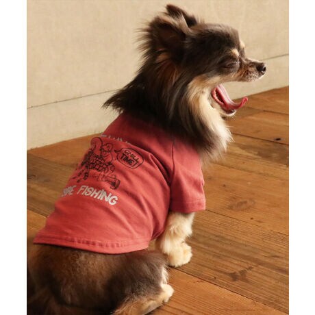 [^:D2437853]sKRIFF MAYER tACeu`^CT (ނ)vtRbg100%̃IWi20/-Vfނ{fBɎgpTVcłBҖ]CHILLTIMEV[ỸhbOEFAoBƈɒނR~JȃOtBbNB蒆ɂMr.K̃byʒuɎtꂽVѐSACeBV[tĂ܂IRZvg̃I[i[ACeiiԁF2437809jWJĂ܂̂ŁAyAEt@~[łNR[fȂǂy߂܂Bn[lX͂܂BLTCYXLTCYɑ傫ȍ܂Bl悭m߂B-------------------------ňFFȂLkF₠藠nFȂPA@F@􂢉-------------------------KRIFF MAYER(NtC[){̎RC[W`FƁAVvŗVѐSfUCŁA^ꂵɂϋv̂鍂iȕAYEfB[XELbYAɃhbOEFA܂ŕLWJBƑ݂Ȃ̖ɉƊy͂܂B