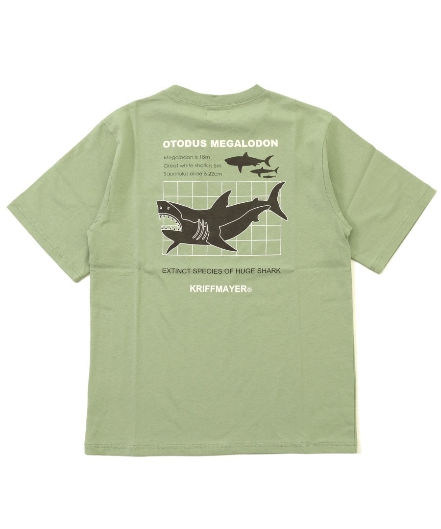 [}C]y×hIzN[lX  TVc T 120cm`170cm/NtC[iKRIFF MAYERj L/GREEN