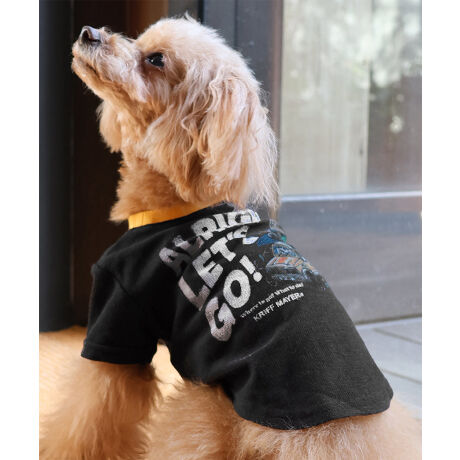 [^:D2445126]sKRIFF MAYER ăACeuBUG PROOFvgT()vtẴAEghAV[ł̉ɂQyłhH{~jT[}fނgppTVcłBLvhbOȂǁAႪo₷ꏊłɈ邱ƂłꖇBĂ炵N₩ȃLsOJ[`[tɂvgłȈi̓LNȂ̐AɊ܂܂钎lHIɍČuygvgpĂAIȒʂ҂ł܂Byg͔Lɑ΂ēŐ邽߂ӂB-------------------------ňFF₠(i`̂)LkF藠nFȂPA@F@􂢉ilbggpj-------------------------KRIFF MAYER(NtC[){̎RC[W`FƁAVvŗVѐSfUCŁA^ꂵɂϋv̂鍂iȕAYEfB[XELbYAɃhbOEFA܂ŕLWJBƑ݂Ȃ̖ɉƊy͂܂B