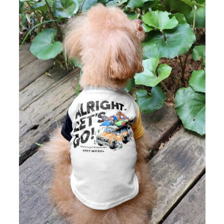 [^:D2445126]sKRIFF MAYER ăACeuBUG PROOFvgT()vtẴAEghAV[ł̉ɂQyłhH{~jT[}fނgppTVcłBLvhbOȂǁAႪo₷ꏊłɈ邱ƂłꖇBĂ炵N₩ȃLsOJ[`[tɂvgłȈi̓LNȂ̐AɊ܂܂钎lHIɍČuygvgpĂAIȒʂ҂ł܂Byg͔Lɑ΂ēŐ邽߂ӂB-------------------------ňFF₠(i`̂)LkF藠nFȂPA@F@􂢉ilbggpj-------------------------KRIFF MAYER(NtC[){̎RC[W`FƁAVvŗVѐSfUCŁA^ꂵɂϋv̂鍂iȕAYEfB[XELbYAɃhbOEFA܂ŕLWJBƑ݂Ȃ̖ɉƊy͂܂B