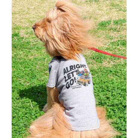 [^:D2445126]sKRIFF MAYER ăACeuBUG PROOFvgT()vtẴAEghAV[ł̉ɂQyłhH{~jT[}fނgppTVcłBLvhbOȂǁAႪo₷ꏊłɈ邱ƂłꖇBĂ炵N₩ȃLsOJ[`[tɂvgłȈi̓LNȂ̐AɊ܂܂钎lHIɍČuygvgpĂAIȒʂ҂ł܂Byg͔Lɑ΂ēŐ邽߂ӂB-------------------------ňFF₠(i`̂)LkF藠nFȂPA@F@􂢉ilbggpj-------------------------KRIFF MAYER(NtC[){̎RC[W`FƁAVvŗVѐSfUCŁA^ꂵɂϋv̂鍂iȕAYEfB[XELbYAɃhbOEFA܂ŕLWJBƑ݂Ȃ̖ɉƊy͂܂B