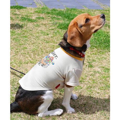 [^:D2445126]sKRIFF MAYER ăACeuBUG PROOFvgT()vtẴAEghAV[ł̉ɂQyłhH{~jT[}fނgppTVcłBLvhbOȂǁAႪo₷ꏊłɈ邱ƂłꖇBĂ炵N₩ȃLsOJ[`[tɂvgłȈi̓LNȂ̐AɊ܂܂钎lHIɍČuygvgpĂAIȒʂ҂ł܂Byg͔Lɑ΂ēŐ邽߂ӂB-------------------------ňFF₠(i`̂)LkF藠nFȂPA@F@􂢉ilbggpj-------------------------KRIFF MAYER(NtC[){̎RC[W`FƁAVvŗVѐSfUCŁA^ꂵɂϋv̂鍂iȕAYEfB[XELbYAɃhbOEFA܂ŕLWJBƑ݂Ȃ̖ɉƊy͂܂B