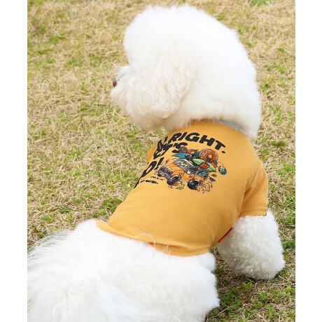 [^:D2445126]sKRIFF MAYER ăACeuBUG PROOFvgT()vtẴAEghAV[ł̉ɂQyłhH{~jT[}fނgppTVcłBLvhbOȂǁAႪo₷ꏊłɈ邱ƂłꖇBĂ炵N₩ȃLsOJ[`[tɂvgłȈi̓LNȂ̐AɊ܂܂钎lHIɍČuygvgpĂAIȒʂ҂ł܂Byg͔Lɑ΂ēŐ邽߂ӂB-------------------------ňFF₠(i`̂)LkF藠nFȂPA@F@􂢉ilbggpj-------------------------KRIFF MAYER(NtC[){̎RC[W`FƁAVvŗVѐSfUCŁA^ꂵɂϋv̂鍂iȕAYEfB[XELbYAɃhbOEFA܂ŕLWJBƑ݂Ȃ̖ɉƊy͂܂B