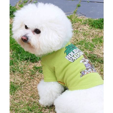 [^:D2447843]sKRIFF MAYER ăACeuEFbgveNgT(ViEU[)vtݖh~AhAڐG⊴̓ꐶn WETPROTECTVōTVcłBr[`ł낮ViEU[ǂۂĈ炵OtBbNłBq̖؂ɂă~[WbNȂoJX𖞋iłB̃ACe͓fނ̃YACe(iԁF2447807)ƃLbYACe(iԁFJ2447853)܂̂ŁAƑłR[fy݂܂IKRIFF MAYER(NtC[){̎RC[W`FƁAVvŗVѐSfUCŁA^ꂵɂϋv̂鍂iȕAYEfB[XELbYAɃhbOEFA܂ŕLWJBƑ݂Ȃ̖ɉƊy͂܂B