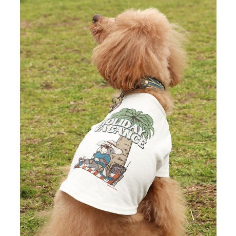 [^:D2447843]sKRIFF MAYER ăACeuEFbgveNgT(ViEU[)vtݖh~AhAڐG⊴̓ꐶn WETPROTECTVōTVcłBr[`ł낮ViEU[ǂۂĈ炵OtBbNłBq̖؂ɂă~[WbNȂoJX𖞋iłB̃ACe͓fނ̃YACe(iԁF2447807)ƃLbYACe(iԁFJ2447853)܂̂ŁAƑłR[fy݂܂IKRIFF MAYER(NtC[){̎RC[W`FƁAVvŗVѐSfUCŁA^ꂵɂϋv̂鍂iȕAYEfB[XELbYAɃhbOEFA܂ŕLWJBƑ݂Ȃ̖ɉƊy͂܂B