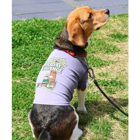 [^:D2447843]sKRIFF MAYER ăACeuEFbgveNgT(ViEU[)vtݖh~AhAڐG⊴̓ꐶn WETPROTECTVōTVcłBr[`ł낮ViEU[ǂۂĈ炵OtBbNłBq̖؂ɂă~[WbNȂoJX𖞋iłB̃ACe͓fނ̃YACe(iԁF2447807)ƃLbYACe(iԁFJ2447853)܂̂ŁAƑłR[fy݂܂IKRIFF MAYER(NtC[){̎RC[W`FƁAVvŗVѐSfUCŁA^ꂵɂϋv̂鍂iȕAYEfB[XELbYAɃhbOEFA܂ŕLWJBƑ݂Ȃ̖ɉƊy͂܂B