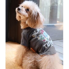 クリフメイヤー(KRIFF MAYER)の【全6色×4サイズ展開！】ウェットプロテクト Tシャツ タートル ドッグウェア