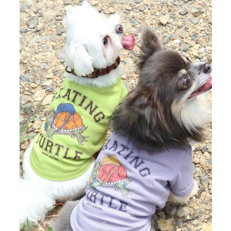 [^:D2447844]sKRIFF MAYER ăACeuEFbgveNgT(^[g)vtݖh~AhAڐG⊴̓ꐶn WETPROTECTVōTVcłBJXP[g{[hɏ肱ȂėVł܂BJbWS̃Aj}TƎvA҂VѐŜꖇłB̃ACe͓RZvg̃I[i[ACe(iԁF2447808)܂̂łR[fy݂܂IKRIFF MAYER(NtC[){̎RC[W`FƁAVvŗVѐSfUCŁA^ꂵɂϋv̂鍂iȕAYEfB[XELbYAɃhbOEFA܂ŕLWJBƑ݂Ȃ̖ɉƊy͂܂B