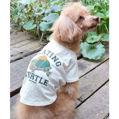 [^:D2447844]sKRIFF MAYER ăACeuEFbgveNgT(^[g)vtݖh~AhAڐG⊴̓ꐶn WETPROTECTVōTVcłBJXP[g{[hɏ肱ȂėVł܂BJbWS̃Aj}TƎvA҂VѐŜꖇłB̃ACe͓RZvg̃I[i[ACe(iԁF2447808)܂̂łR[fy݂܂IKRIFF MAYER(NtC[){̎RC[W`FƁAVvŗVѐSfUCŁA^ꂵɂϋv̂鍂iȕAYEfB[XELbYAɃhbOEFA܂ŕLWJBƑ݂Ȃ̖ɉƊy͂܂B