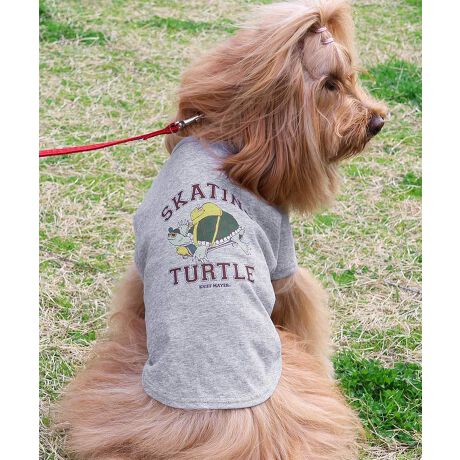 [^:D2447844]sKRIFF MAYER ăACeuEFbgveNgT(^[g)vtݖh~AhAڐG⊴̓ꐶn WETPROTECTVōTVcłBJXP[g{[hɏ肱ȂėVł܂BJbWS̃Aj}TƎvA҂VѐŜꖇłB̃ACe͓RZvg̃I[i[ACe(iԁF2447808)܂̂łR[fy݂܂IKRIFF MAYER(NtC[){̎RC[W`FƁAVvŗVѐSfUCŁA^ꂵɂϋv̂鍂iȕAYEfB[XELbYAɃhbOEFA܂ŕLWJBƑ݂Ȃ̖ɉƊy͂܂B