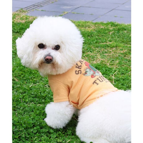 [^:D2447844]sKRIFF MAYER ăACeuEFbgveNgT(^[g)vtݖh~AhAڐG⊴̓ꐶn WETPROTECTVōTVcłBJXP[g{[hɏ肱ȂėVł܂BJbWS̃Aj}TƎvA҂VѐŜꖇłB̃ACe͓RZvg̃I[i[ACe(iԁF2447808)܂̂łR[fy݂܂IKRIFF MAYER(NtC[){̎RC[W`FƁAVvŗVѐSfUCŁA^ꂵɂϋv̂鍂iȕAYEfB[XELbYAɃhbOEFA܂ŕLWJBƑ݂Ȃ̖ɉƊy͂܂B