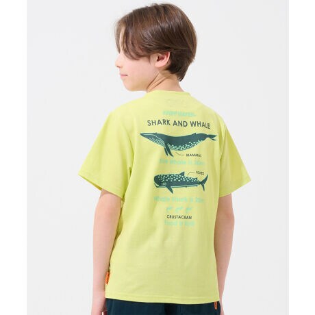 [^:J2457851]sKRIFF MAYER 2025NĐVu^b`VTiőΌjvtCɂő̋ނƍő̚M...͋ʓ_...ĤׂȂłIȓmꂽÂŌ~vgTVcłB\͋QŃgAʋCQAz₷₷Hv܂Bfɒڒ@ĂȂ̂ŁA͕Rȕ҂ݕŔɗDAđfނ̗͂ŐڐG⊴Ă܂BwZwN`wŃALbY`WjATCYɉAYSTCYȉǃLbY160cmłȂBBBȔȎ̂qlɑΉ170cm܂ŁI-------------------------VGbgFX^_[hňFʓFȂLkF藠nFȂPA@F@􂢉ilbggpj-------------------------KRIFF MAYERiNtC[jƑ݂Ȃ̖ɊyƏΊ͂BNtC[̕ɂ͂Ȏvlߍ܂Ă܂BYEfB[XELbYAXɃhbOEFA܂œWJBCȂXʂȎvoɕςuԂoAx[VbNIWieB[ӂVfC[EGAĂ܂B