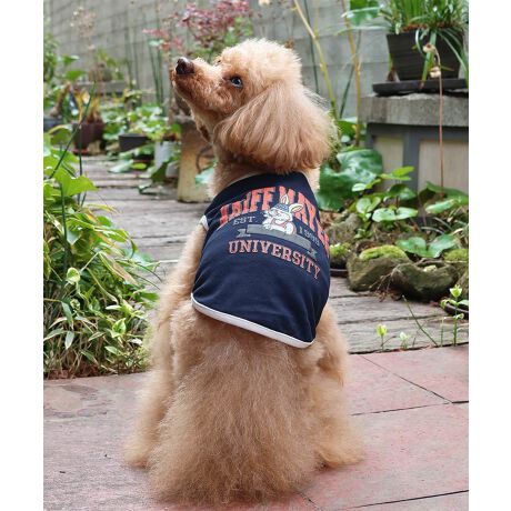 [^:D2457854]sKRIFF MAYER ăACeuDOGEFbgveNgT(JbW)vtł݂łɂIWifށwWET PROTECTxgpTVcłByEhEzEݖh~ɉāAڐG⊴̋@\vXIĂɑ劈􂷂nCXybNTVcɎdグĂ܂BNtC[̃ACRłNtrbgwɂǂƔzJbWS|bvȃACełBzFpCsOANZgɂȂ舤Ȃ܂ĨACe͓fޥRZvg̃I[i[TCY(iԁF2457818)WJĂ̂ŉƑłR[fy݂܂IɂȂhbOEFAő̂񂿂ƍʉႨIKRIFF MAYERiNtC[jƑ݂Ȃ̖ɊyƏΊ͂BNtC[̕ɂ͂Ȏvlߍ܂Ă܂BYEfB[XELbYAXɃhbOEFA܂œWJBCȂXʂȎvoɕςuԂoAx[VbNIWieB[ӂVfC[EGAĂ܂B