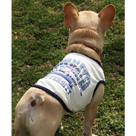 [^:D2457854]sKRIFF MAYER ăACeuDOGEFbgveNgT(JbW)vtł݂łɂIWifށwWET PROTECTxgpTVcłByEhEzEݖh~ɉāAڐG⊴̋@\vXIĂɑ劈􂷂nCXybNTVcɎdグĂ܂BNtC[̃ACRłNtrbgwɂǂƔzJbWS|bvȃACełBzFpCsOANZgɂȂ舤Ȃ܂ĨACe͓fޥRZvg̃I[i[TCY(iԁF2457818)WJĂ̂ŉƑłR[fy݂܂IɂȂhbOEFAő̂񂿂ƍʉႨIKRIFF MAYERiNtC[jƑ݂Ȃ̖ɊyƏΊ͂BNtC[̕ɂ͂Ȏvlߍ܂Ă܂BYEfB[XELbYAXɃhbOEFA܂œWJBCȂXʂȎvoɕςuԂoAx[VbNIWieB[ӂVfC[EGAĂ܂B