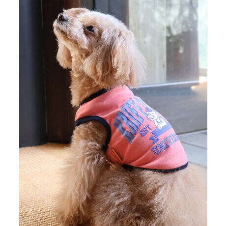 [^:D2457854]sKRIFF MAYER ăACeuDOGEFbgveNgT(JbW)vtł݂łɂIWifށwWET PROTECTxgpTVcłByEhEzEݖh~ɉāAڐG⊴̋@\vXIĂɑ劈􂷂nCXybNTVcɎdグĂ܂BNtC[̃ACRłNtrbgwɂǂƔzJbWS|bvȃACełBzFpCsOANZgɂȂ舤Ȃ܂ĨACe͓fޥRZvg̃I[i[TCY(iԁF2457818)WJĂ̂ŉƑłR[fy݂܂IɂȂhbOEFAő̂񂿂ƍʉႨIKRIFF MAYERiNtC[jƑ݂Ȃ̖ɊyƏΊ͂BNtC[̕ɂ͂Ȏvlߍ܂Ă܂BYEfB[XELbYAXɃhbOEFA܂œWJBCȂXʂȎvoɕςuԂoAx[VbNIWieB[ӂVfC[EGAĂ܂B