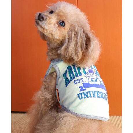 [^:D2457854]sKRIFF MAYER ăACeuDOGEFbgveNgT(JbW)vtł݂łɂIWifށwWET PROTECTxgpTVcłByEhEzEݖh~ɉāAڐG⊴̋@\vXIĂɑ劈􂷂nCXybNTVcɎdグĂ܂BNtC[̃ACRłNtrbgwɂǂƔzJbWS|bvȃACełBzFpCsOANZgɂȂ舤Ȃ܂ĨACe͓fޥRZvg̃I[i[TCY(iԁF2457818)WJĂ̂ŉƑłR[fy݂܂IɂȂhbOEFAő̂񂿂ƍʉႨIKRIFF MAYERiNtC[jƑ݂Ȃ̖ɊyƏΊ͂BNtC[̕ɂ͂Ȏvlߍ܂Ă܂BYEfB[XELbYAXɃhbOEFA܂œWJBCȂXʂȎvoɕςuԂoAx[VbNIWieB[ӂVfC[EGAĂ܂B